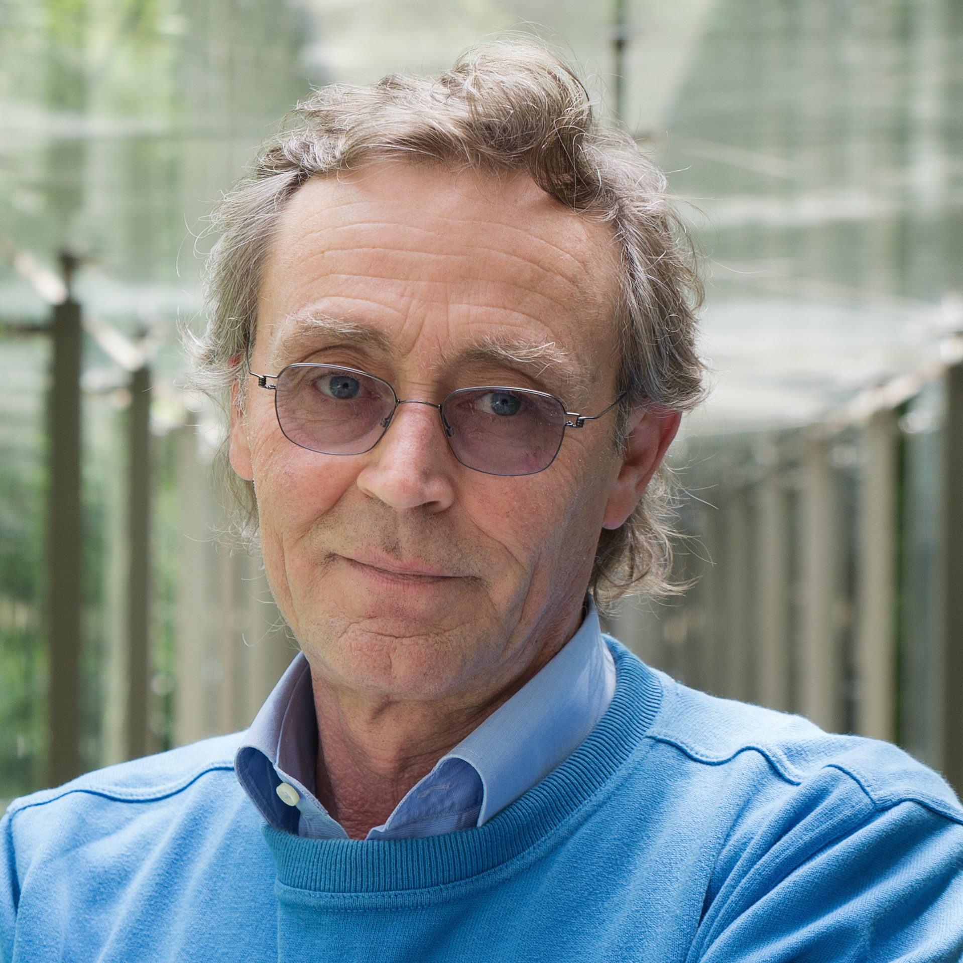 Andrea Vitali