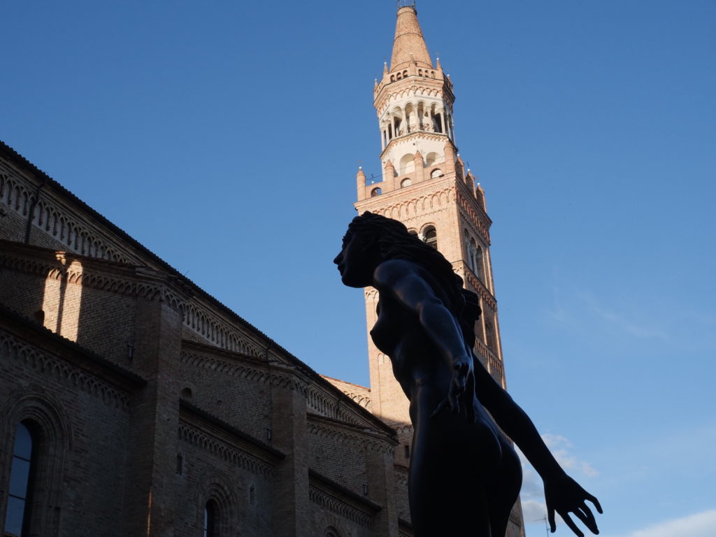 Fotogallery edizione 2020